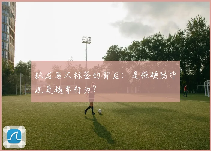狄龙恶汉标签的背后:是强硬防守还是越界行为?